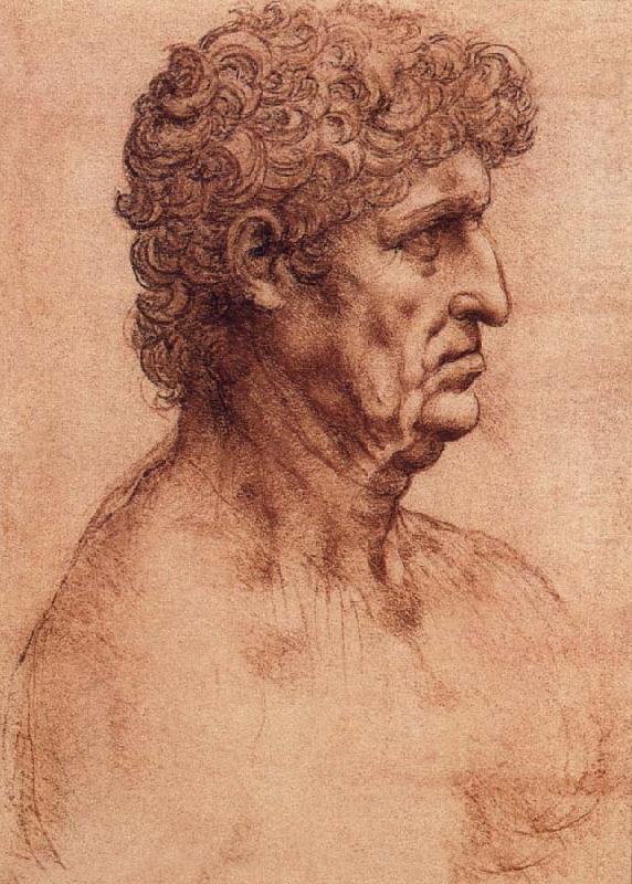 Profile of an old man, LEONARDO da Vinci